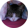 Avatar de La.a