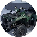 Grizzly Maverick's profile image