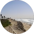 Community member