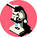 Avatar de Muller.l