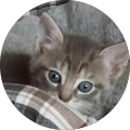 Avatar de Beatrice Fremont