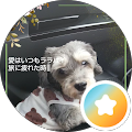 Takashi Nishigami (にっしゃん)