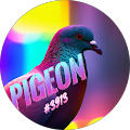 Avis de pigeon. avec une note de 1 sur 5