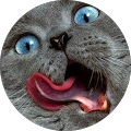 Avatar de Coco.a