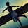 Cherry's profile photo