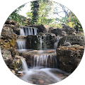 Halstead Media - 