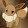 Pokemon Eevee's profile photo