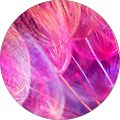 Avatar de Marie-Noëlle.i