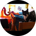 Avatar de Gaëlle.i