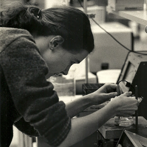 Karen Kelley Perkins