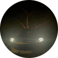 Avatar de Jojo.e
