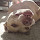 lhaz...@gmail.com's profile photo