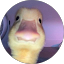 Szymon Ducki profile photo