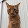 Theresa Jurisch's profile photo