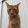 Theresa Jurisch's profile photo