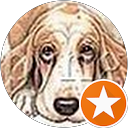 Ilona Erb's profile image