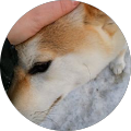 Misako