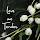 Thư Nguyễn's profile photo
