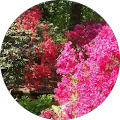 Avatar de Frédérique.E