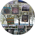 Cost-U-Less Insurance - Auburn, California