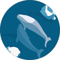 ちんやーこん（ハッキリ段BALL）