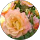 laurence gaillard profile picture