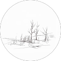 Avatar de Apolline.e