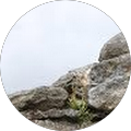 Avatar de Hugonnier.o