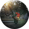 Avatar de Audi.