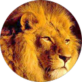 Avatar de massourouri.b