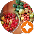Gesundheitszentrum Fitness4U - Ulmen