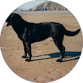 Salmon Planning Company - West Somerset, Devon & Cornwall - Exeter