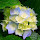nada mohammed's profile photo
