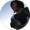 Law Offices of Daniel A. Hunt | Estate Planning | Trusts | Estate Litigation - Roseville, California