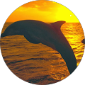 Review Author Image