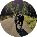 Mobile Tierphysio Hund & Pferd - Bianca Ebert - Filderstadt