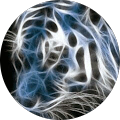 Avatar de euvrard.n