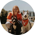 K9 Logic Dog Training - Glendale, California