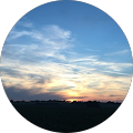 Avatar de Aude.