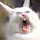 Jennifer Hartman's profile photo