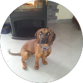 Avatar de SEBASTIEN.E