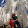 master...@gmail.com's profile photo