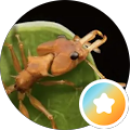 Reviewer Profile Photo
