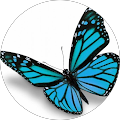 Avatar de Patricia.a