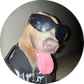 Avatar de S_sWaZeD.