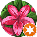 Marie Steinke's profile image