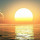 cavis...@gmail.com's profile photo