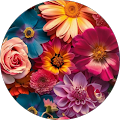 Avatar de Claire210988.