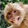 reg...@gmail.com's profile photo