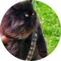 Avis de CHEWBACAT. avec une note de 5 sur 5